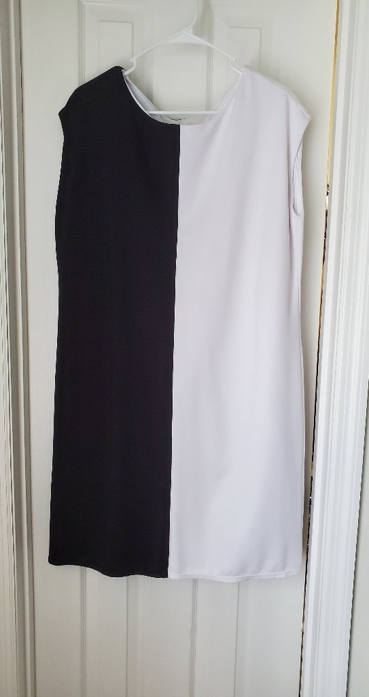 The Limited dress